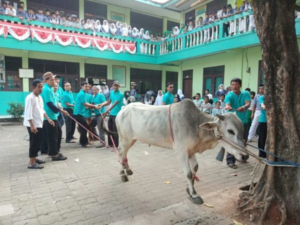 Kegiatan Qurban